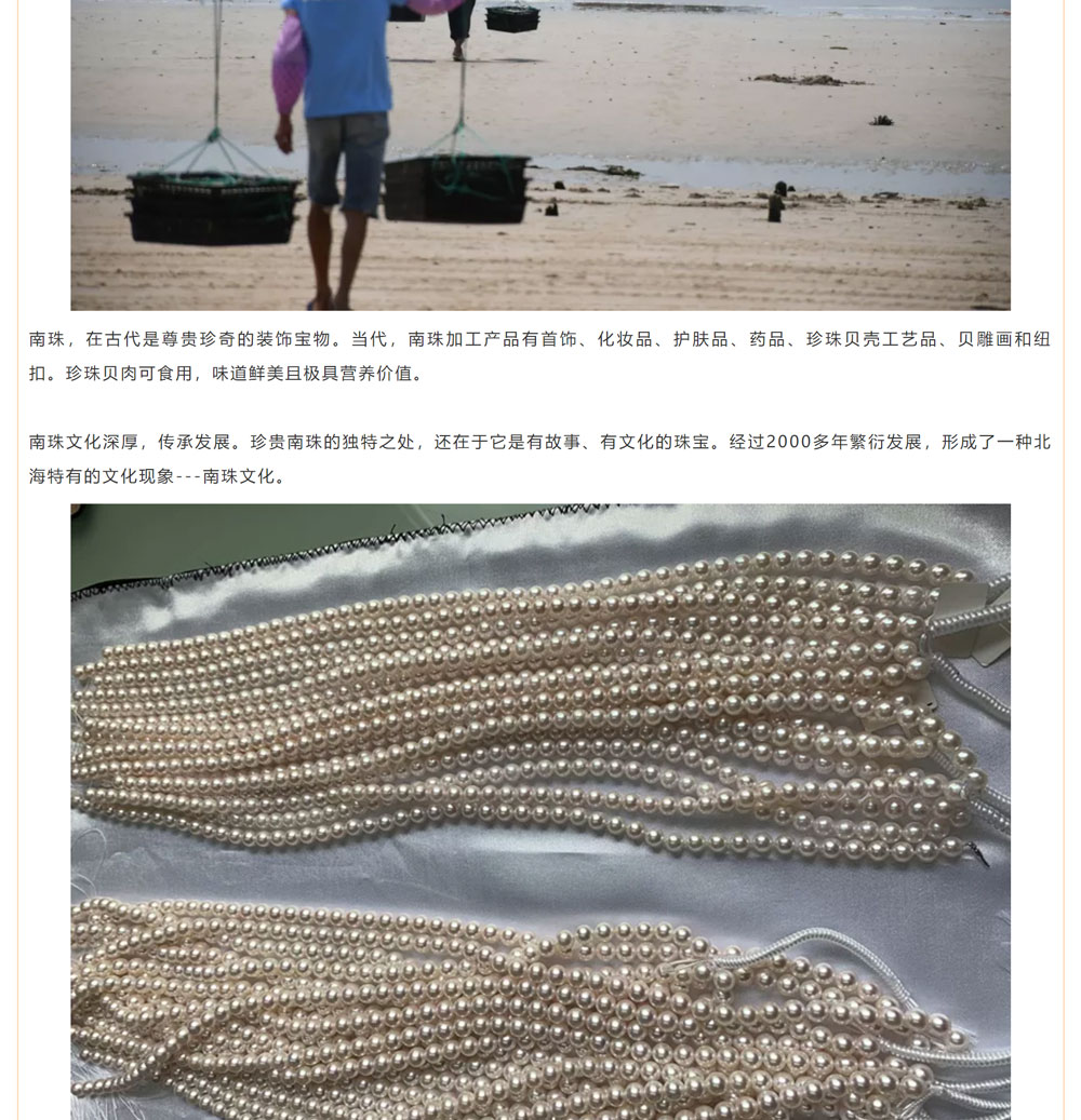 古老南珠，綻放異彩