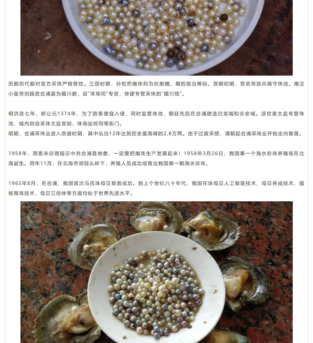 古老南珠，綻放異彩